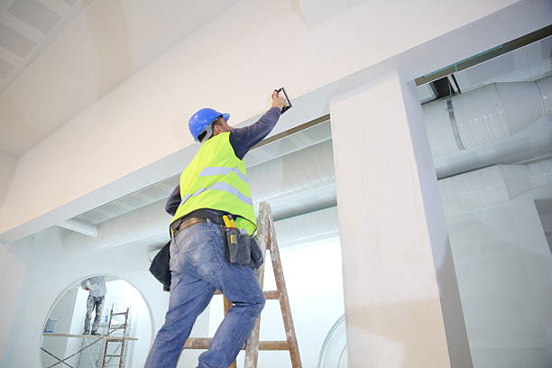 Best Mold Damage Restoration  in Stearns, KY