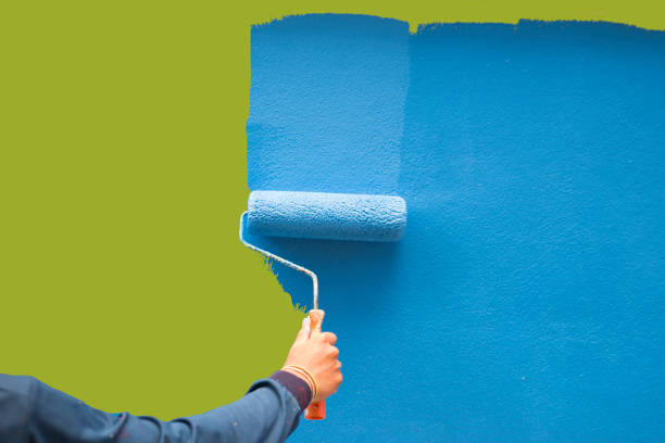 Best Basement Mold Removal  in Stearns, KY